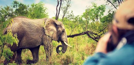 Top National Parks in Africa 